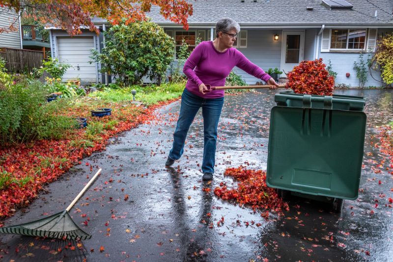 Fall Yard Waste